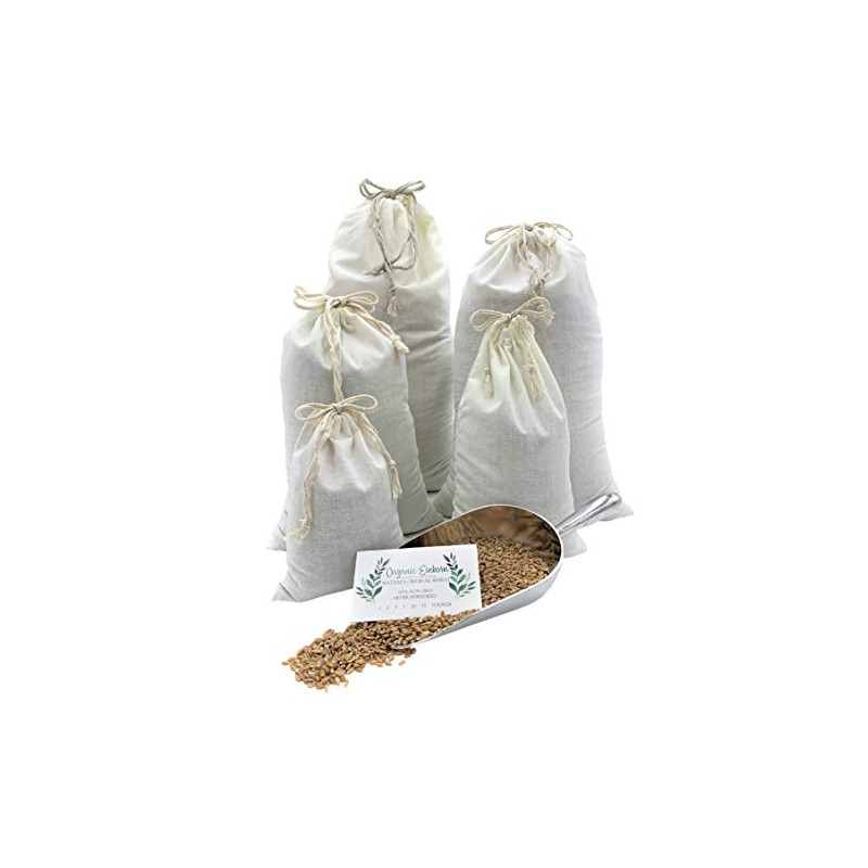 Organic Einkorn Whole Grain Farro Berries, USA Grown. Gluten Problems?