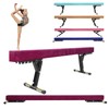 FINCOME Adjustable Balance Beam 8ft Purple, High and Lower Floor
