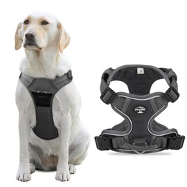 Light Up Dog Harness, Adjustable No Pull Reflective Vest with Front/Back Clips, Step-In Breathable Mesh for Small to Medium Dogs, Night Walking Safety & Training Control