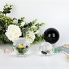 Hipiwe 12Pcs Sphere Hoder Stand Clear Sphere Display Stand Holder