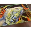 RIOLIS Counted Cross Stitch kit 2192 Iguana
