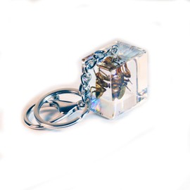 Real Spider Cube Keychain