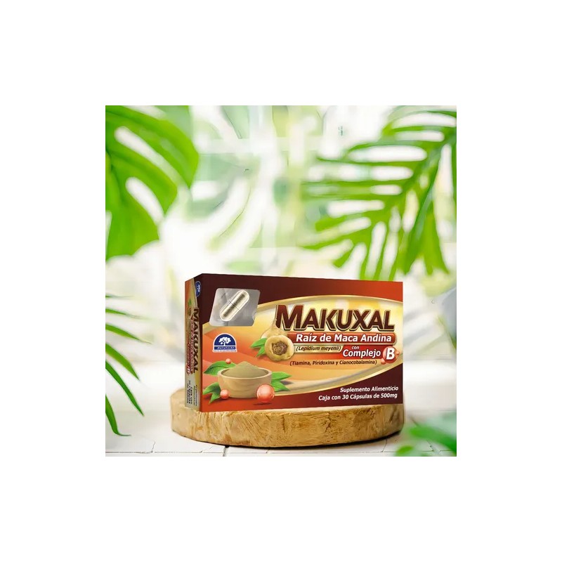 Suplemento En Cápsula Makuxal Complejo B X 500g