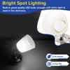 Dream Lighting 12v RV Interior Light Bedside Reading Lights Camper