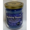 Smoke Odor Exterminator, Blueberry Dreamz Candle, (TIME ONLY), 13oz, 13