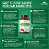 Zazzee Extra Strength French Maritime Pine Bark Extract 20:1, 350