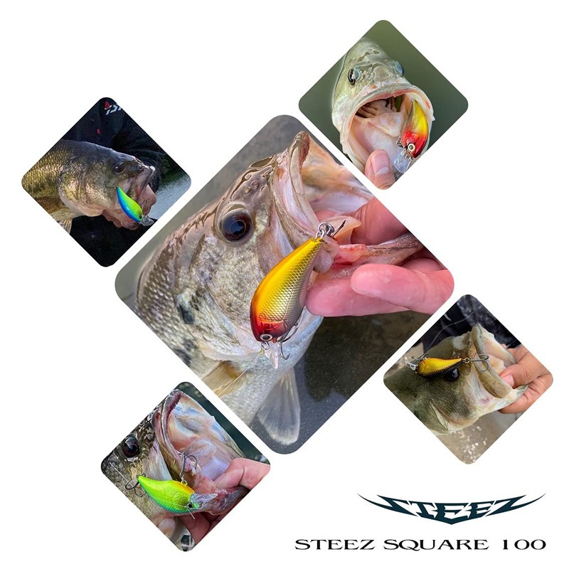 DAIWA Bass Steez Square Crown 100 Lure