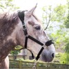 John Whitaker Unisex Club Headcollar and Lead Rope Set Black