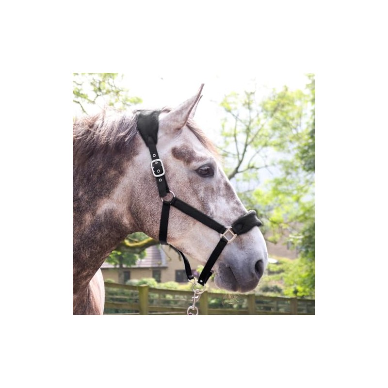 John Whitaker Unisex Club Headcollar and Lead Rope Set Black