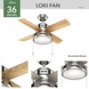 Hunter Fan Company 59386 Hunter 36" Loki LED Light Ceiling