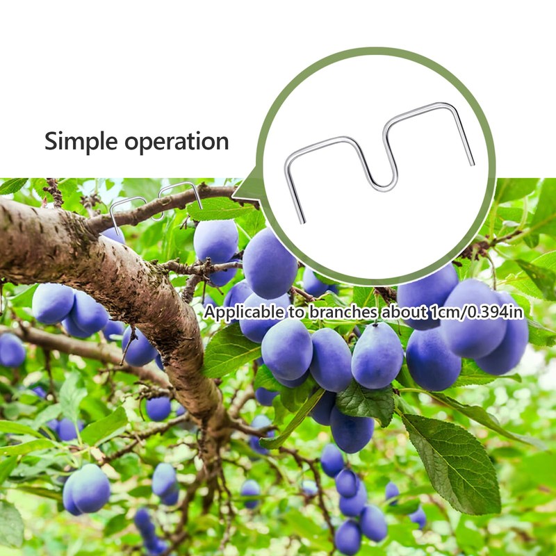 Pack of 30 Branch Separators for Fruit Trees, M Shaped