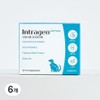 Intragen Pet Joint Power Nutrient 60g, 6 pieces, bone and joint strengthening, 30 servings / 인트라젠 반려동물 조인트파워 영양제 60g, 6개, 뼈관절강화, 30회분