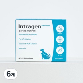 Intragen Pet Joint Power Nutrient 60g, 6 pieces, bone and joint strengthening, 30 servings / 인트라젠 반려동물 조인트파워 영양제 60g, 6개, 뼈관절강화, 30회분