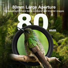 KeepSync 20-60x80 Spotting Scope with Tripod, Carrying Bag and Quick Phone Holder - BAK4 High Definition Waterproof Spotter Scope for Bird Watching Wildlife Hunting