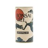 Bonsai Tree | Japanese Black Pine | Seed Grow Kit