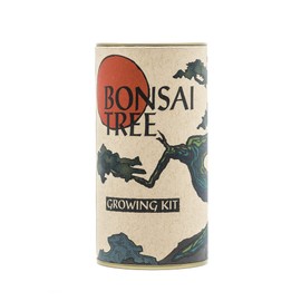 Bonsai Tree | Japanese Black Pine | Seed Grow Kit | The Jonsteen Company
