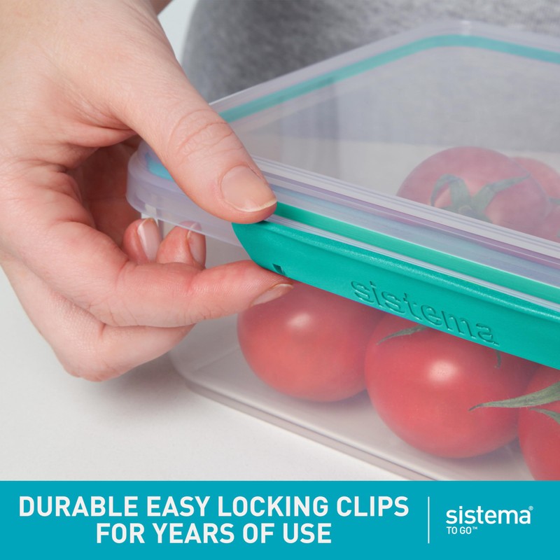 Sistema 1.1L Salad To Go Bento Box