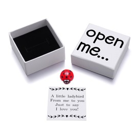 Kvekstio Romantic I Love You Little Ladybird Gift, Adorable Ladybug Gift Set for BF GF, Matchbox Gift, Open Me Surprise Box Couple's Long Distance Gifts for Anniversary, Birthday