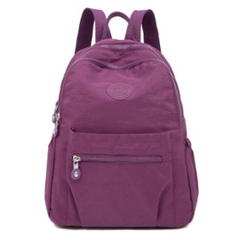 Ecohaso Women's Fashion Backpacks, Small Backpacks for Women Mini Nylon Waterproof Anti Theft Rucksack Women Travel Handbag (Purple)