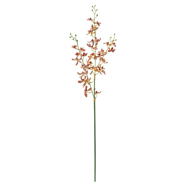 Tokyodo FM002304-008 Artificial Flowers MAGIQ Impress Orchid, Orange Brown, Flower Diameter 1.6 - 2.8 x 32.3 inches (4 - 7 x 82 cm), 1 Piece