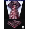HISDERN TA5-01S Set of 5 Ties and Pocket Squares for