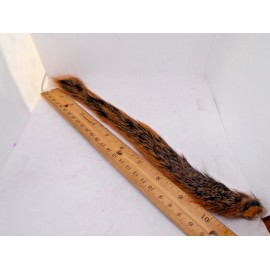 Cote's Fly shop SQUIRREL TAIL - Premium Fly Tying Material - Natural Fox, Gray, Red Pine, & Dyed - Fox Squirrel, Natural