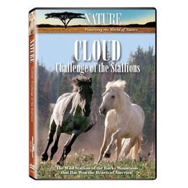 Nature: Cloud: Challenge of the Stallions