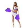 PUZINE 12 Pack Cheerleading Pom Poms with Baton Handle for