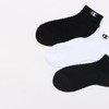 Champion CWSCB301 Women's Socks, 3 Pairs Set, Big Mesh, One
