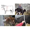 WIN TAPE Professional Cattle Weight (KG) & Height (CM) Tape