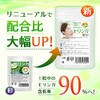 Moringa Supplement, Value Pack, 240 Capsules, Up to 4 Months