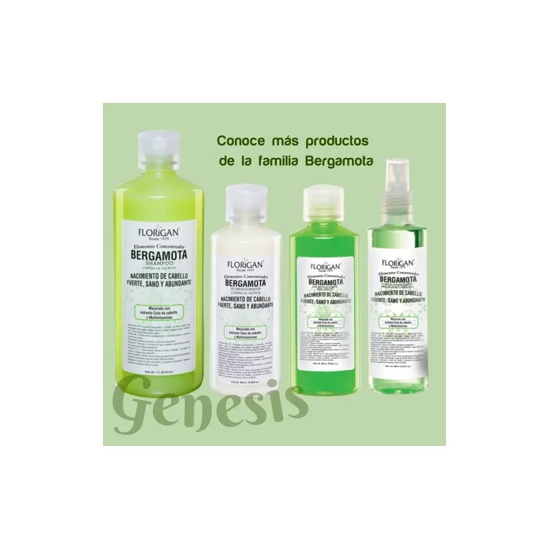 2 Shampoo Bergamota Kit + Tónico + Acondiconador + 2