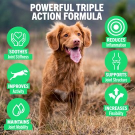 JOINTSURE YOUNG & ACTIVE Joint Supplements for Dogs and Puppies - Pack of 120 Tablets - Supports Mobility and Prevents Joint Stiffness - High Levels of Glucosamine & Green Lipped Mussel