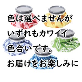 Basic Standard 7316 Ice Pack, Icing Bag, Cute, Stylish, Japanese Pattern, 11.8 fl oz (350 ml), 1 Piece (Mt. Fuji, Goldfish, Hydrangea, Morning Glory, Orizane)