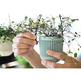Melphoe Macetas suculentas de 2 Piezas de 3.5 Pulgadas con Drenaje, Mango Flexible extraíble, macetas para macetas pequeñas para macetas Colgantes en Pared o Ventana (6 Unidades).