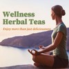 FullChea - White Mulberry Leaf Tea, 40 Teabags – 100%