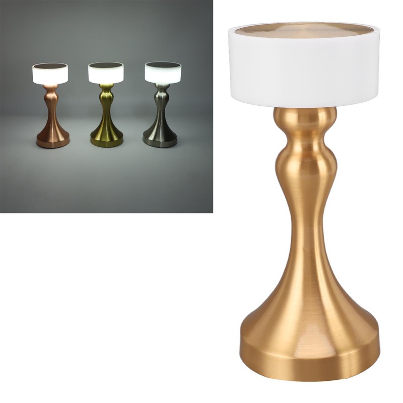 Table Lamp 3 Modes Stepless Dimmable LED Touch Cordless Metal