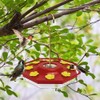 Hummingbird Feeder Outdoor Hanging Hummingbird Feeding Tray 8 Feeding Ports