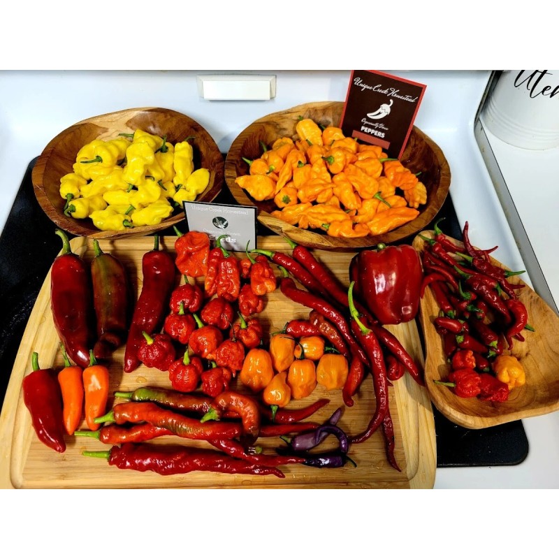 THAI HOT Chili Pepper Seeds Organically Grown Unique Creek Homestead