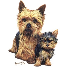 CafePress Yorkie Terrier Pup Sherpa Fleece Throw Blanket 60" L x 50" W