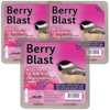 Heath Berry Blast Suet Cakes Sample Pack, Contains 3 Suet