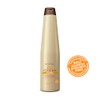 Be Natural Shampoo Be Natural (350 ml) BETO BEAUTY