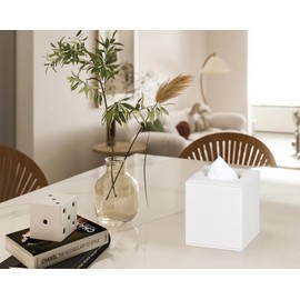 Colylan Tissue Box Cover Square Tissue Box Holder for Bathroom (Beige)