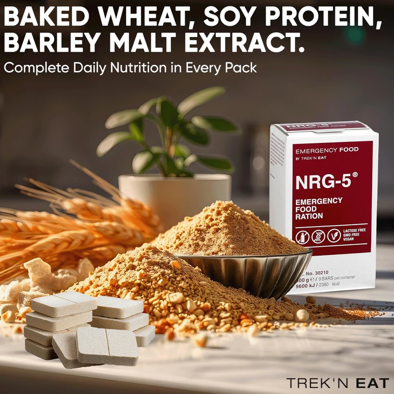Katadyn NRG-5 Emergency Food Ration 500g Pack of 1 (9