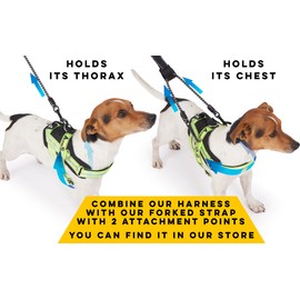 Dog harness with 3 metal ring anchors to hold your dog’s chest or thorax and not suffocate its neck. Attaches easily with a single quick release. (Yellow fluorine, XL)