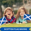 12 Pcs Scotland Stick Flag, 14x21cm Scotland Scottish Flag HandHeld