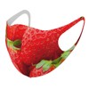 Smakore 000149 Design Mask, 2 Piece Set, Polyester, Washable, Cloth