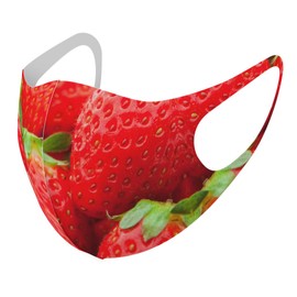 Smakore 000149 Design Mask, 2 Piece Set, Polyester, Washable, Cloth Mask, Unisex, Photography, Landscape, Strawberry, Red, Fruit