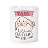 Caution Crazy Rabbit Girl Make-Up Brush Pen Pot