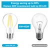 Ascher 60 Watt Equivalent, E26 LED Filament Light Bulbs, Daylight
